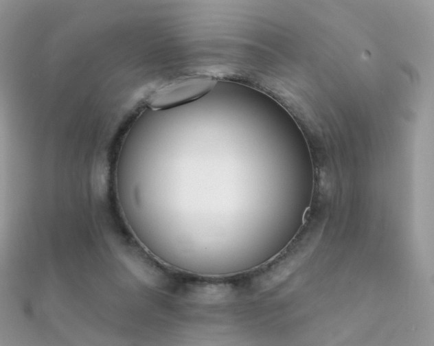 X0000112080304200908111501