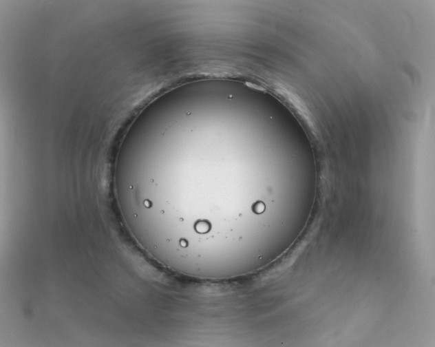 X0000112080305200908111501