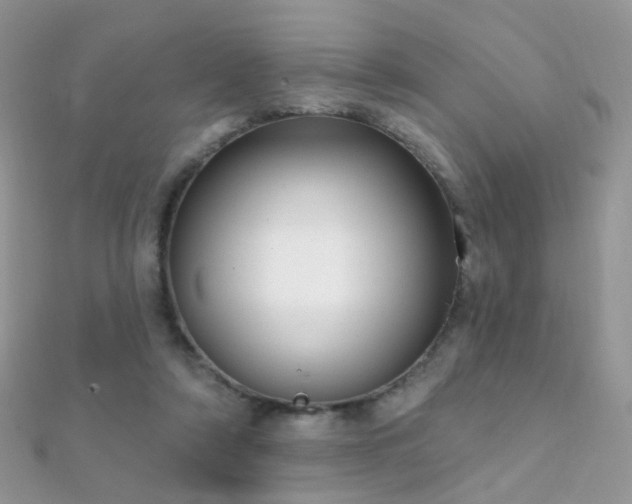 X0000112080306200908111501