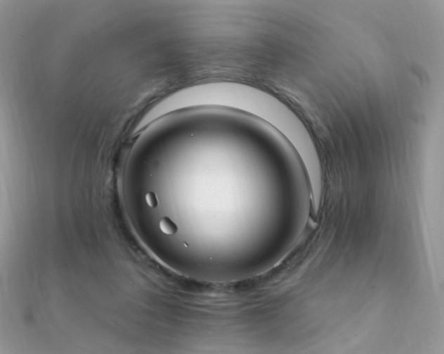 X0000112080308200908111501