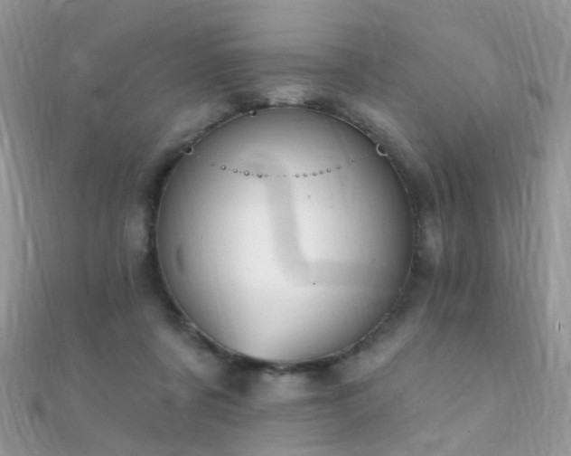X0000112080311200908111500