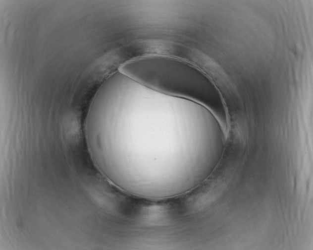 X0000112080312200908111500