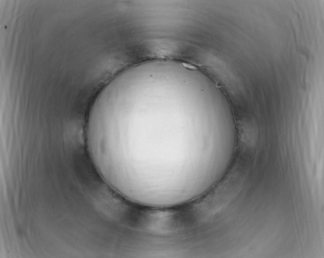 X0000112080313200908111500