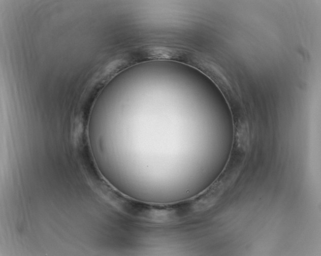 X0000112080314200908111500