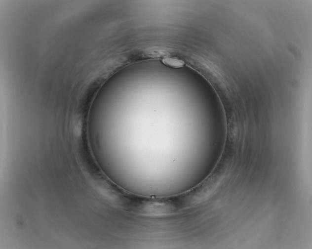 X0000112080315200908111500