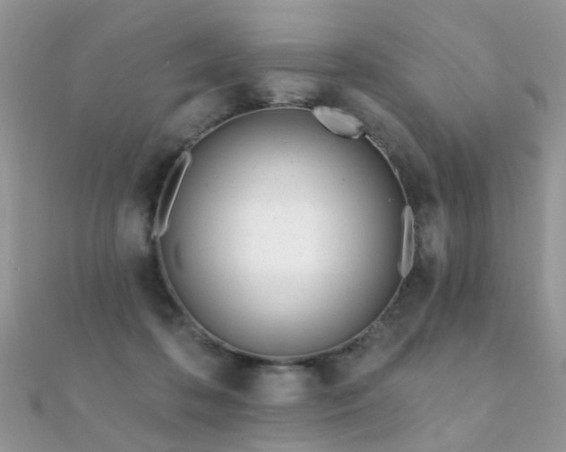 X0000112080316200908111500