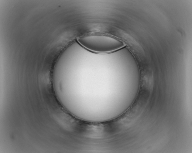 X0000112080317200908111500