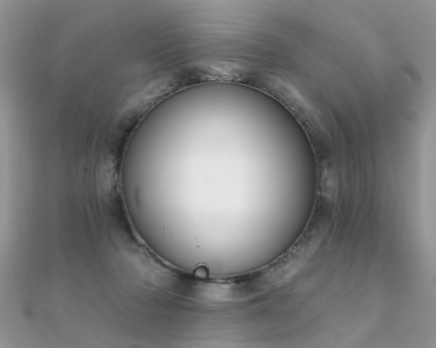 X0000112080318200908111500