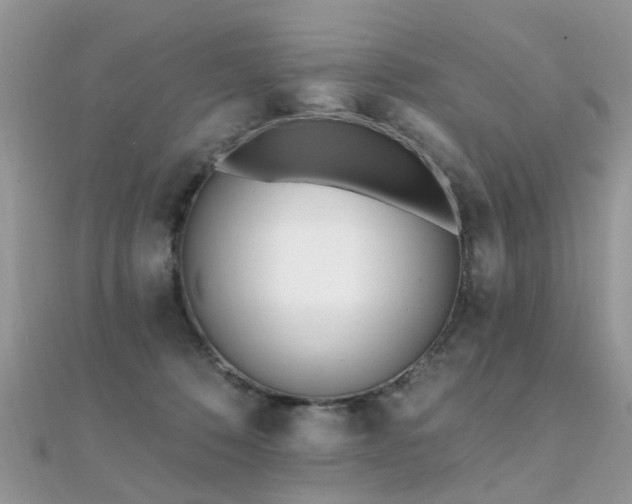 X0000112080320200908111500