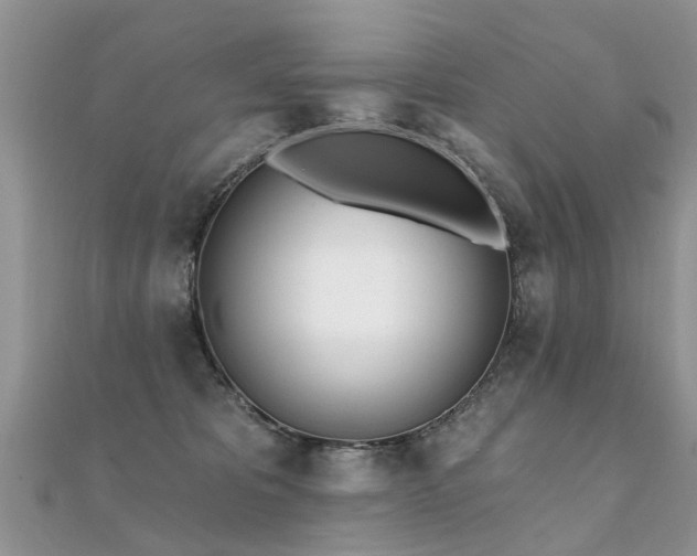 X0000112080325200908111500