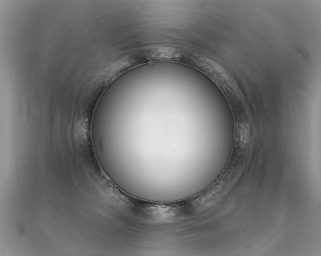 X0000112080326200908111500
