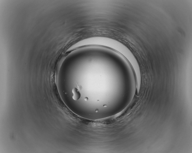 X0000112080327200908111500