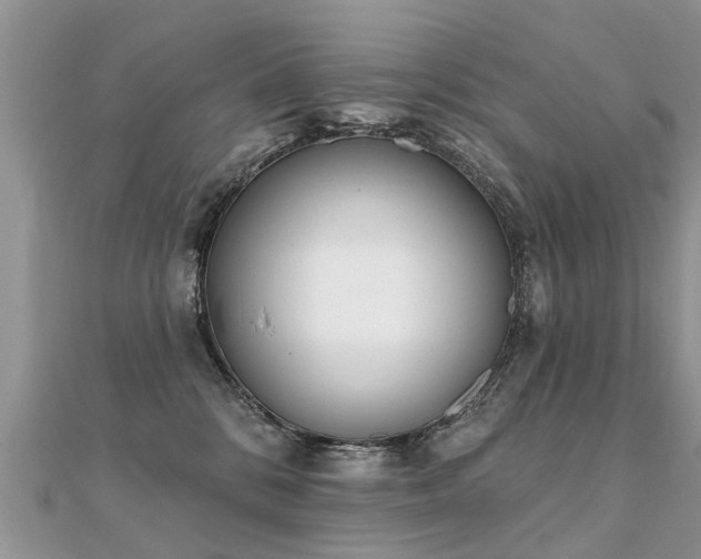 X0000112080328200908111500