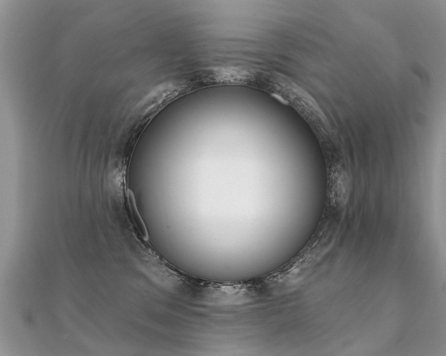X0000112080329200908111500