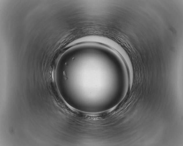 X0000112080332200908111500
