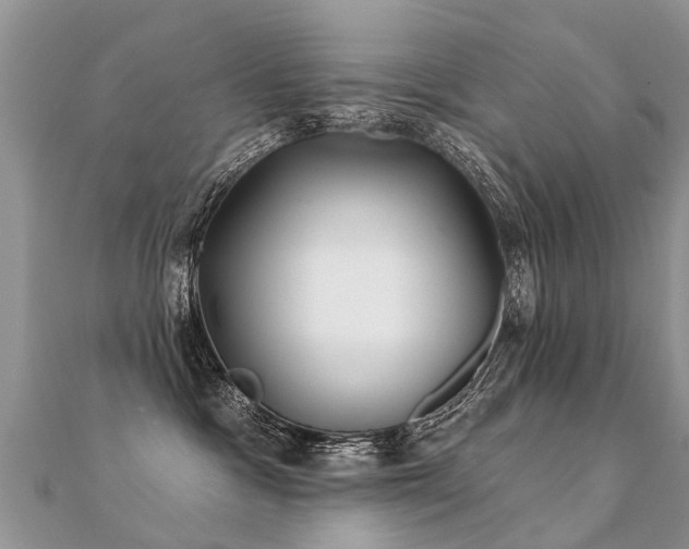 X0000112080333200908111500