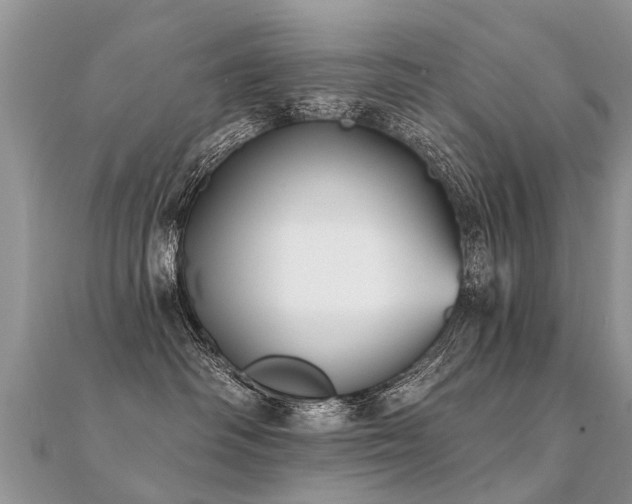 X0000112080334200908111500