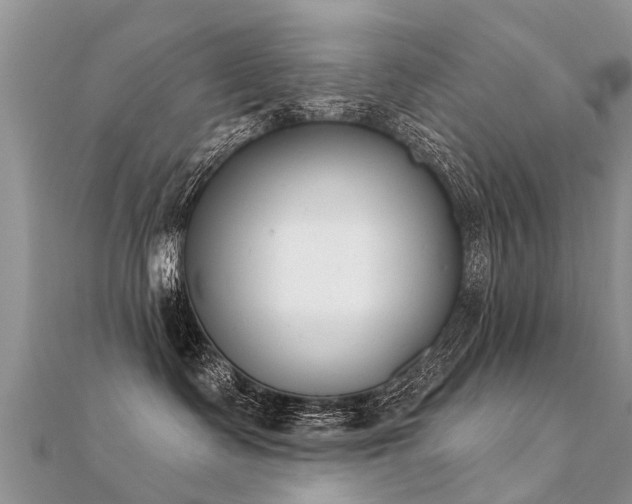X0000112080335200908111500