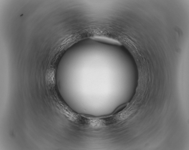 X0000112080336200908111500
