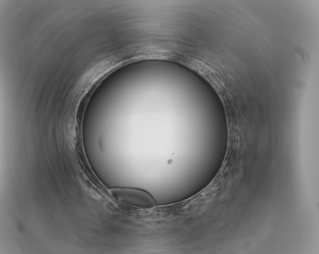X0000112080338200908111500