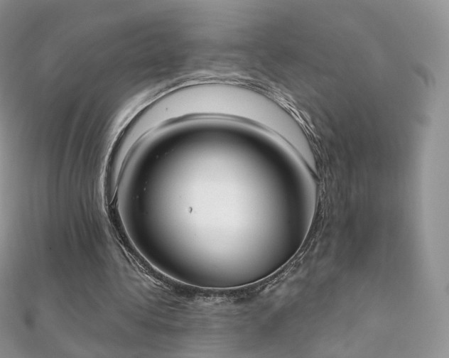 X0000112080340200908111500