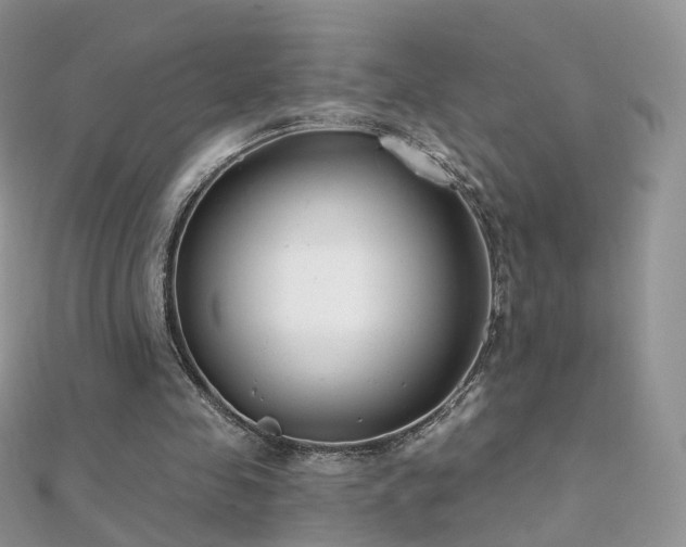 X0000112080341200908111500