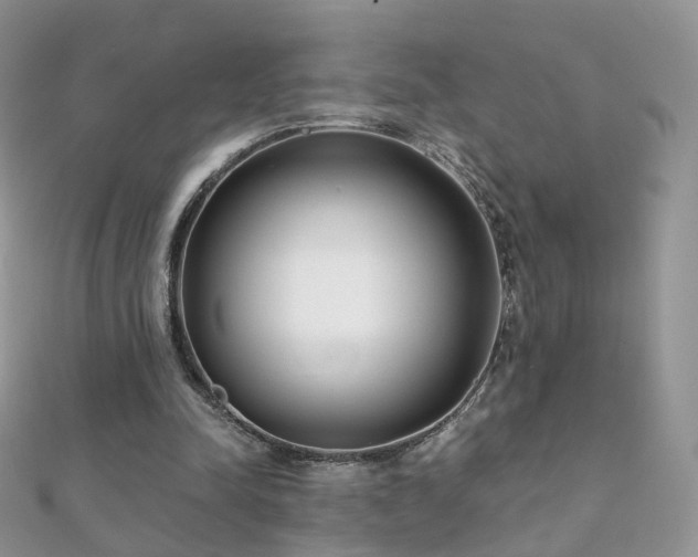 X0000112080342200908111500
