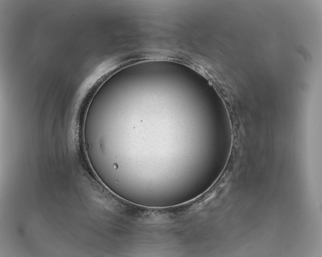 X0000112080343200908111500