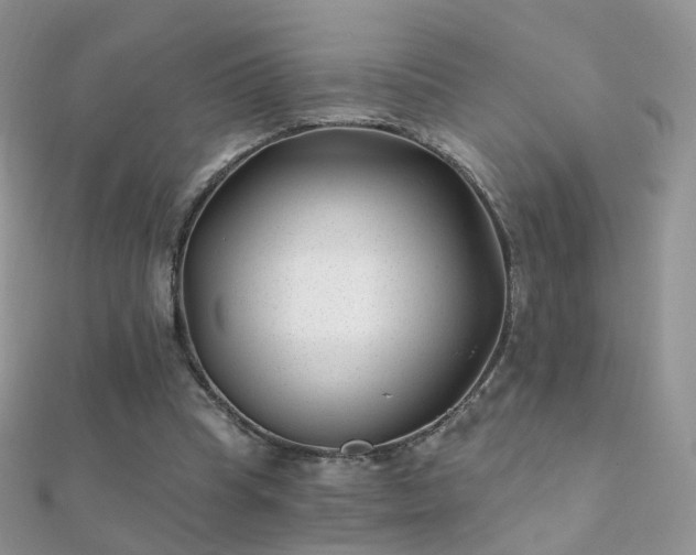 X0000112080345200908111500