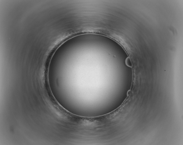 X0000112080346200908111500