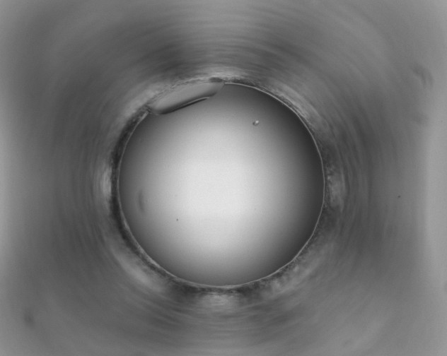 X0000112080350200908111500