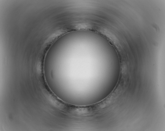 X0000112080353200908111500