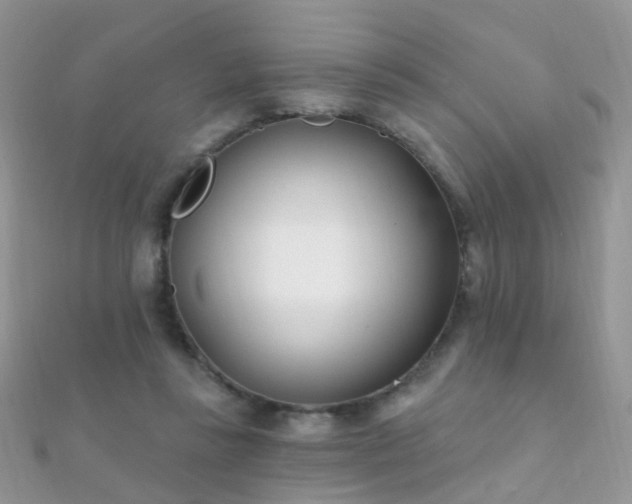 X0000112080355200908111500