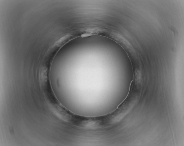 X0000112080356200908111500