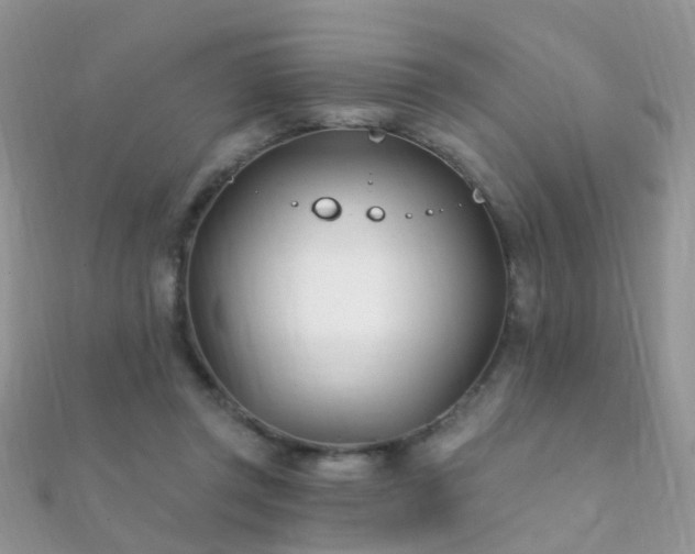 X0000112080357200908111500