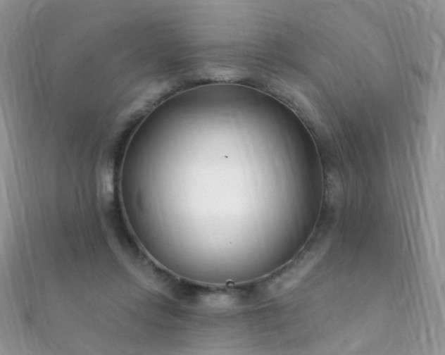 X0000112080358200908111500