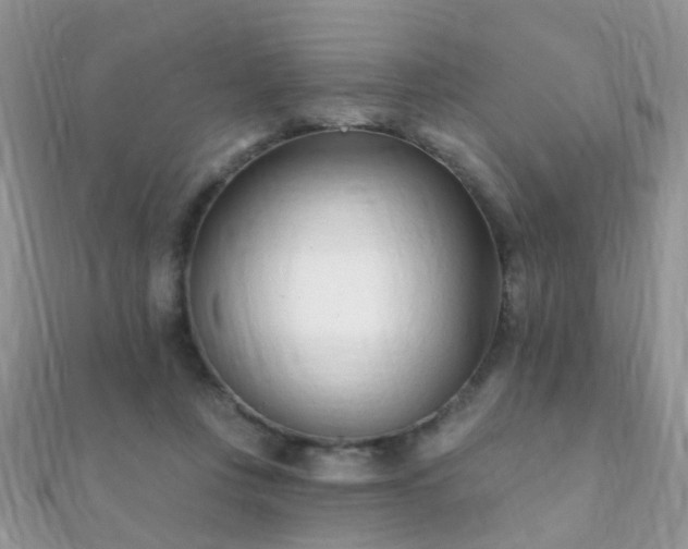 X0000112080359200908111500