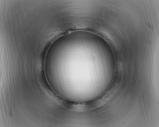 X0000112080362200908111500