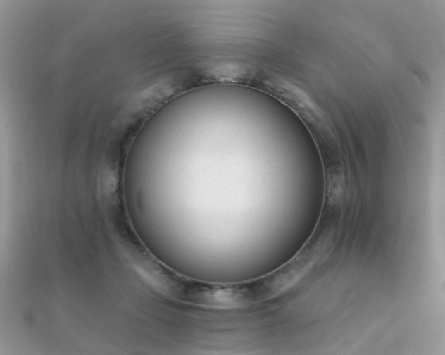 X0000112080365200908111500