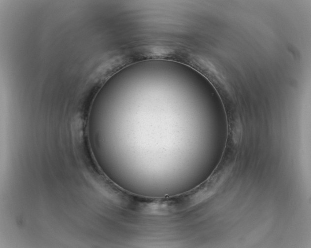X0000112080366200908111500