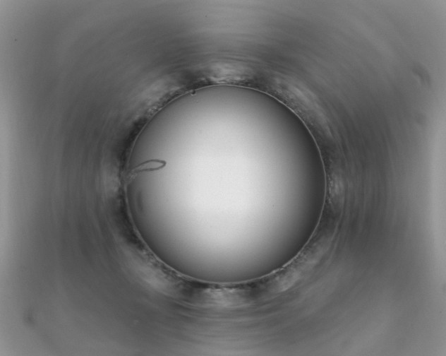 X0000112080367200908111500