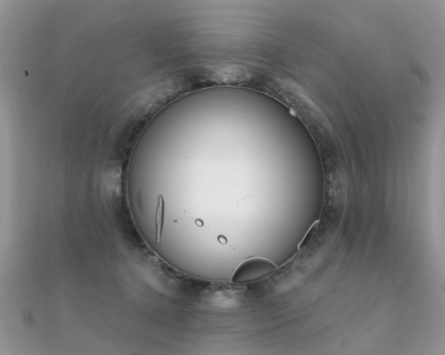 X0000112080368200908111500