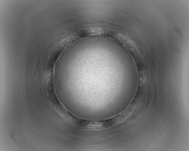 X0000112080369200908111500