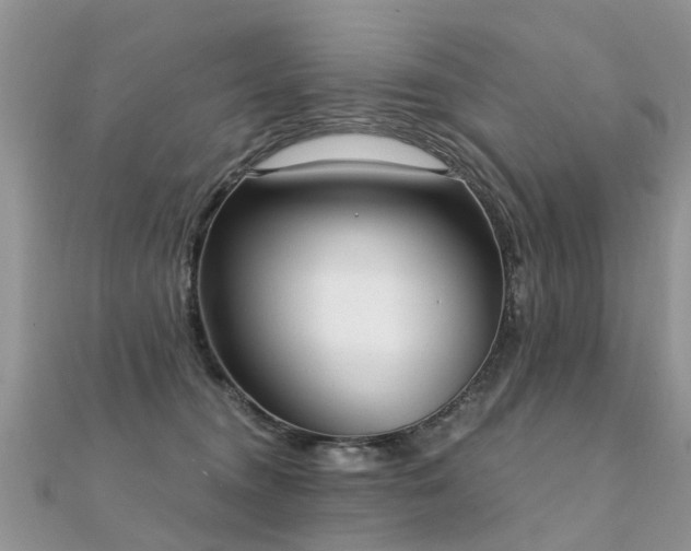 X0000112080372200908111500