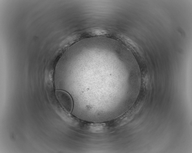 X0000112080373200908111500