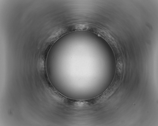 X0000112080375200908111500