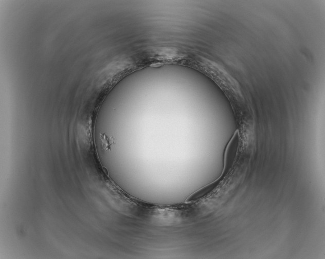 X0000112080376200908111500