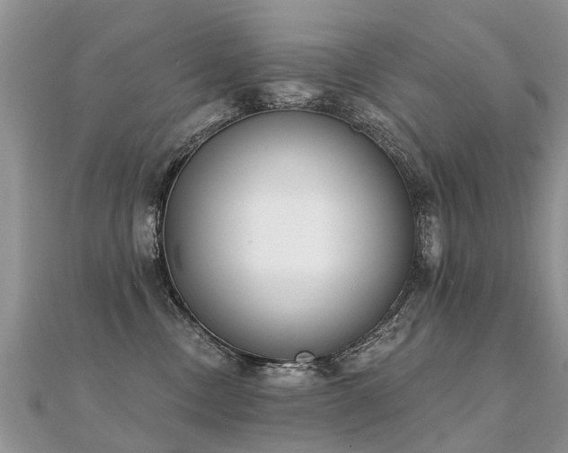 X0000112080378200908111500