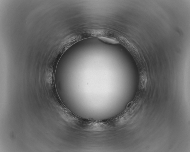 X0000112080379200908111500