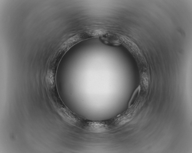 X0000112080380200908111500